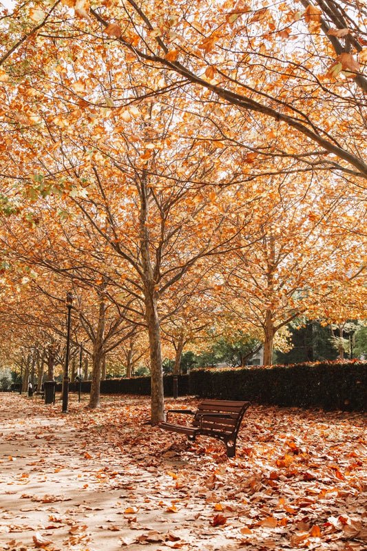 Autumn & Your Skin!